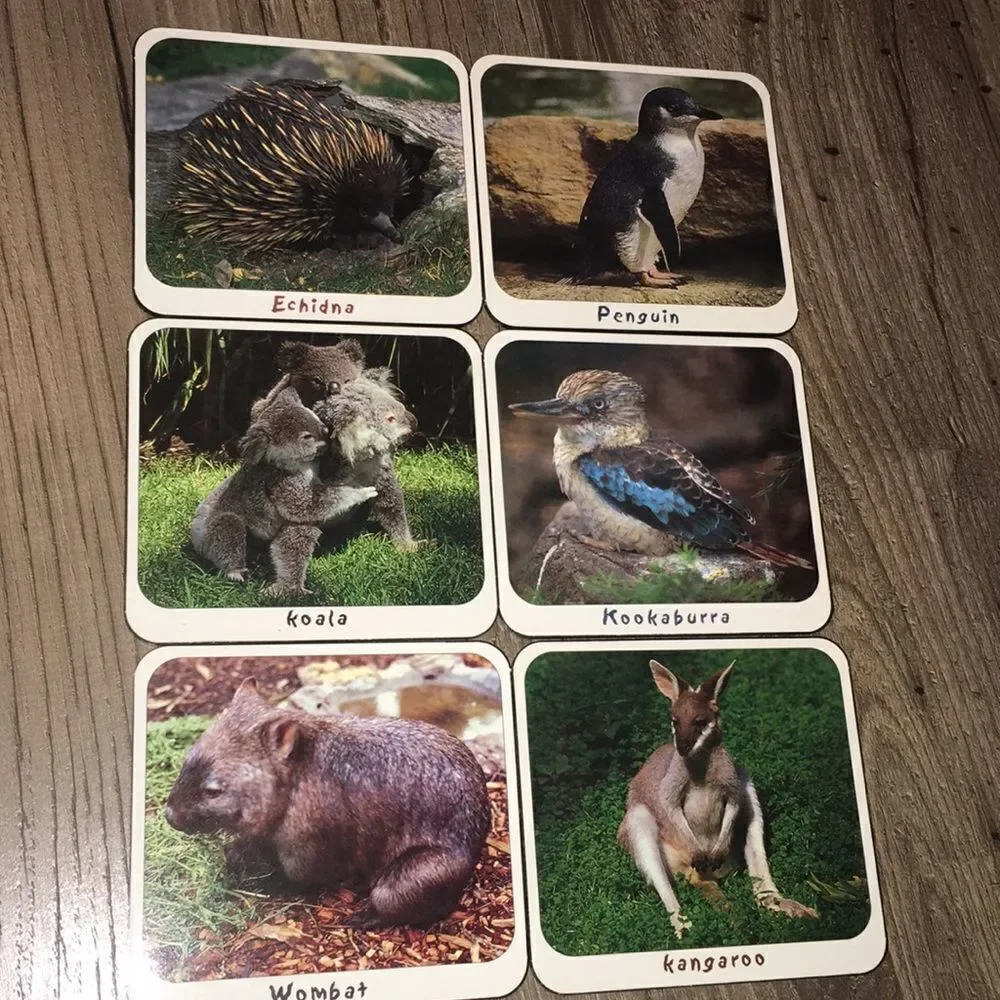6-Australia Australian wildlife drink coasters box